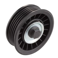 Polia Correia Alternador Vw Gol 2002 a 2008 - 148656 - 4101
