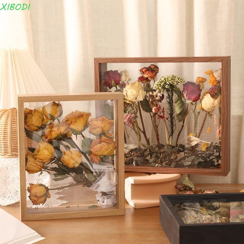 XIBODI Moldura Expositora De Flores Espécimes Caixa Secas em Oferta na Shopee