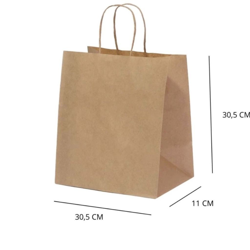 10~50 SACOLA KRAFT  30,5 X 11,5 X 30,5   (LC) - REF:0077