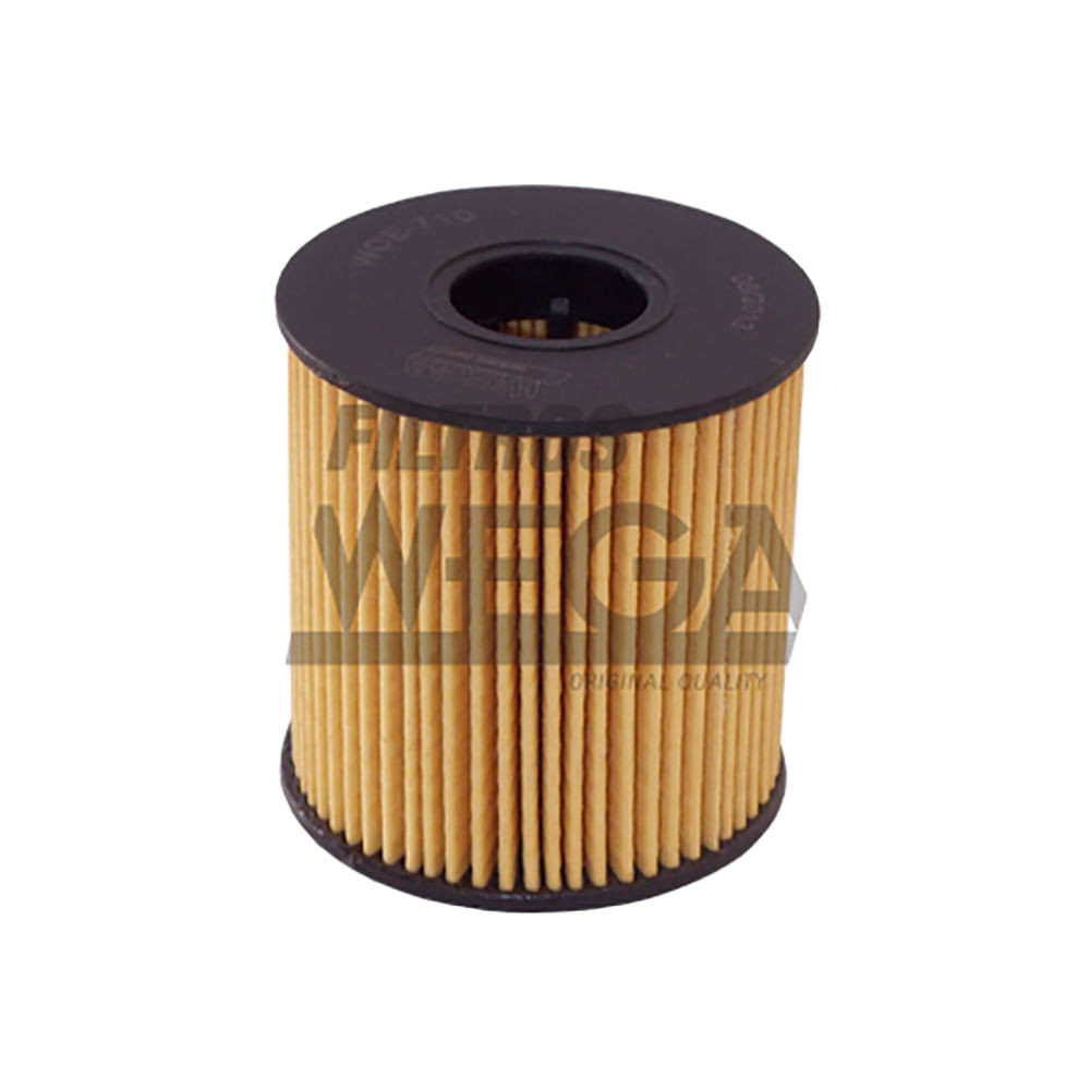 Filtro Óleo Peugeot 207 2008 a 2014 - 166920 - WOE710