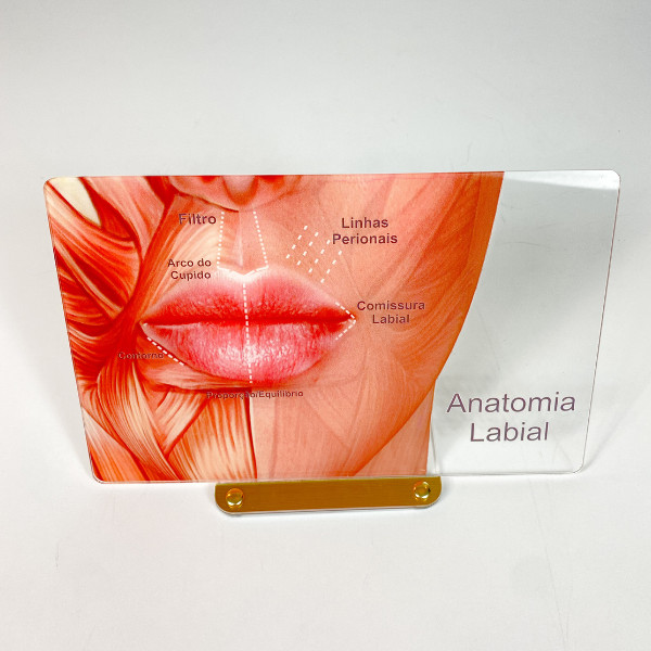 Quadro de Marcação - Macromodelo de Anatomia Labial - Guia Dermatológico e Estético
