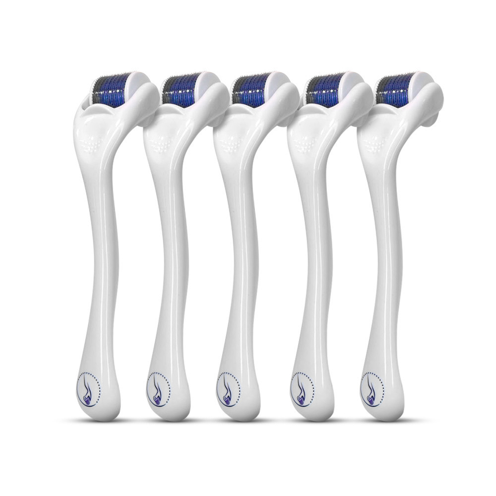 Smart Kit 5 Derma Roller 540 Agulhas 0,25 Microagulhamento - Smart GR