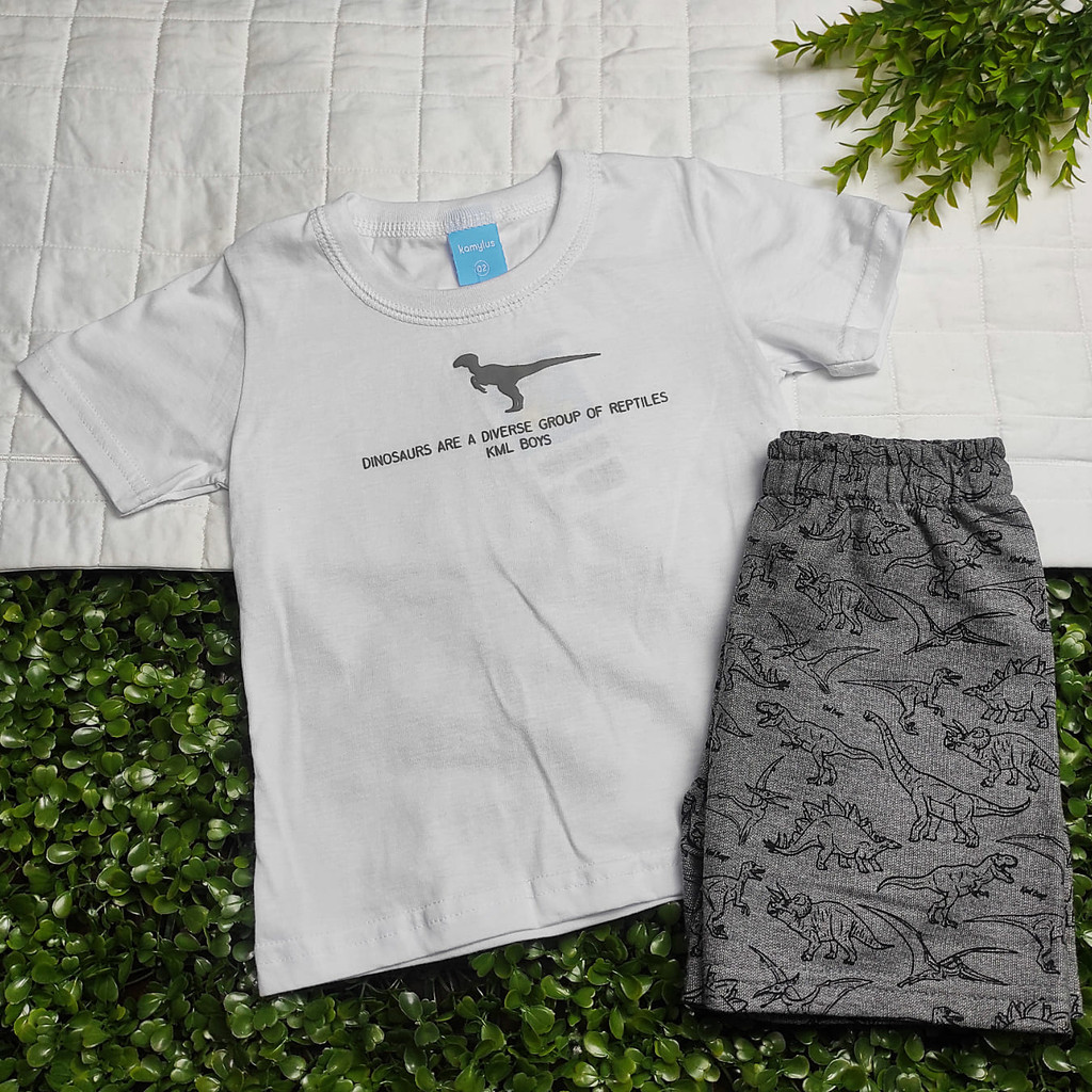 Conjunto Menino Camiseta Branca Dinossauro e Bermuda Cinza Moletinho Estampada - Kamylus - Tamanho 02 e 06