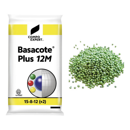 Adubo Fertilizante Basacote 12m 15-8-12(+2) Adubo Para Suculentas Orquídeas 1kg