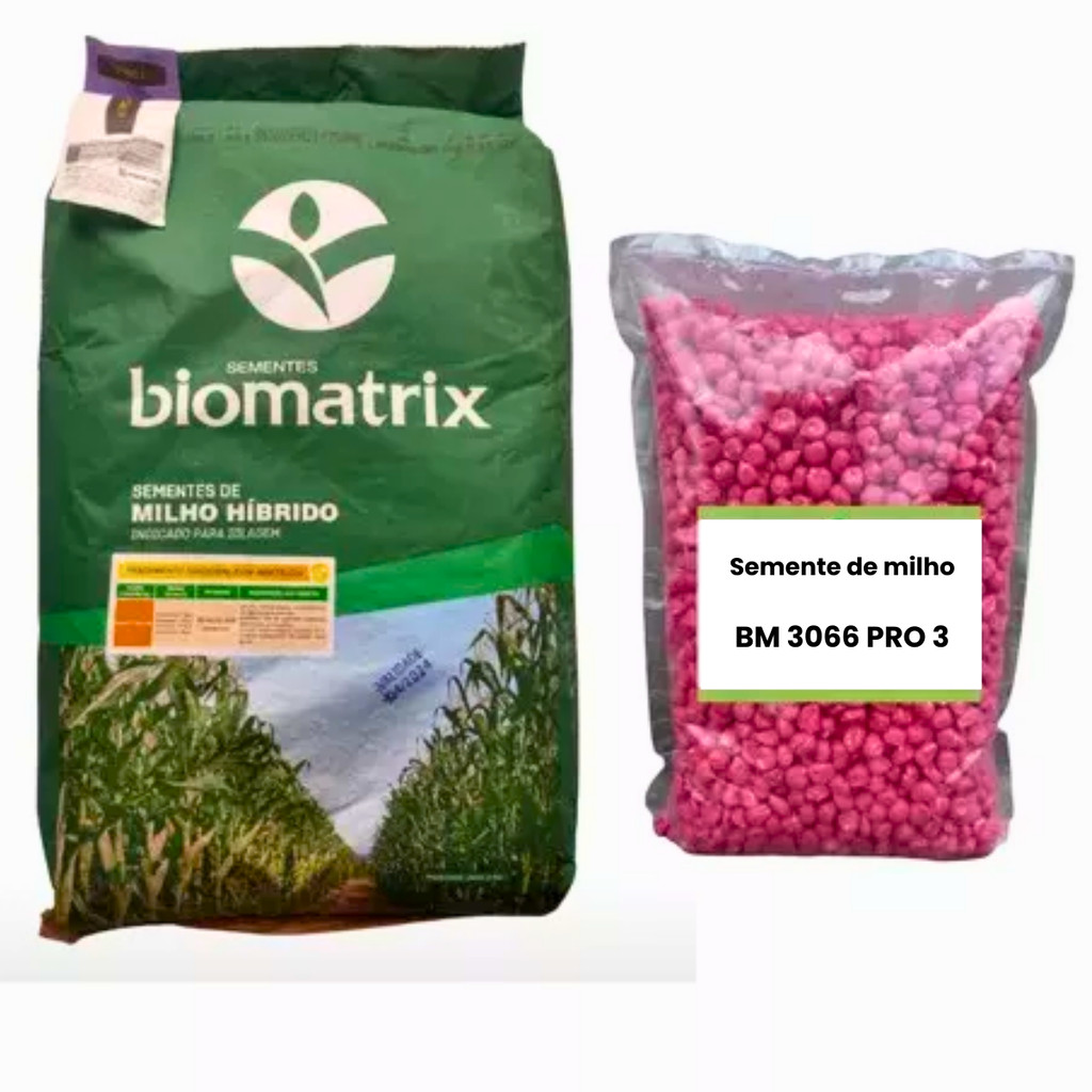 Sementes Milho Resistente BM3066 PRO3 - Milho verde e silagem 2.000 sementes