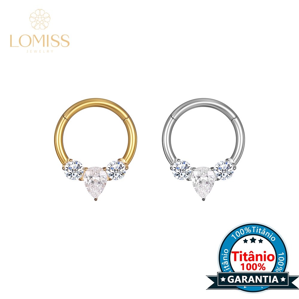 Piercing Septo Rook Conch Nariz Argola Titânio Segmento Articulado Zircônia Cravejada em Oferta na Shopee