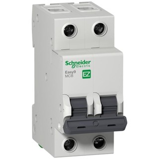 Disjuntor Bipolar Schneider Easy9 3KA Curva C 40A - EZ9F33240 em Oferta na Shopee