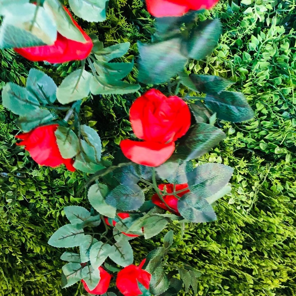 Corrente de Rosa Flor Artificial 2.4M P/ Decoração Casamento, Arranjos, Decorar Festas e casa