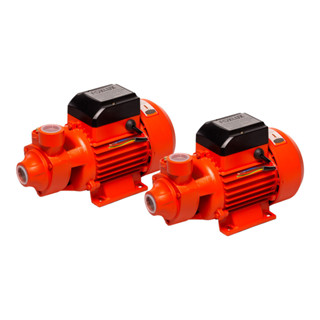 Kit 2 Bomba D’Água Periférica Foxlux 1CV 750W Bivolt | potência elevada, desempenho constante em Oferta na Shopee