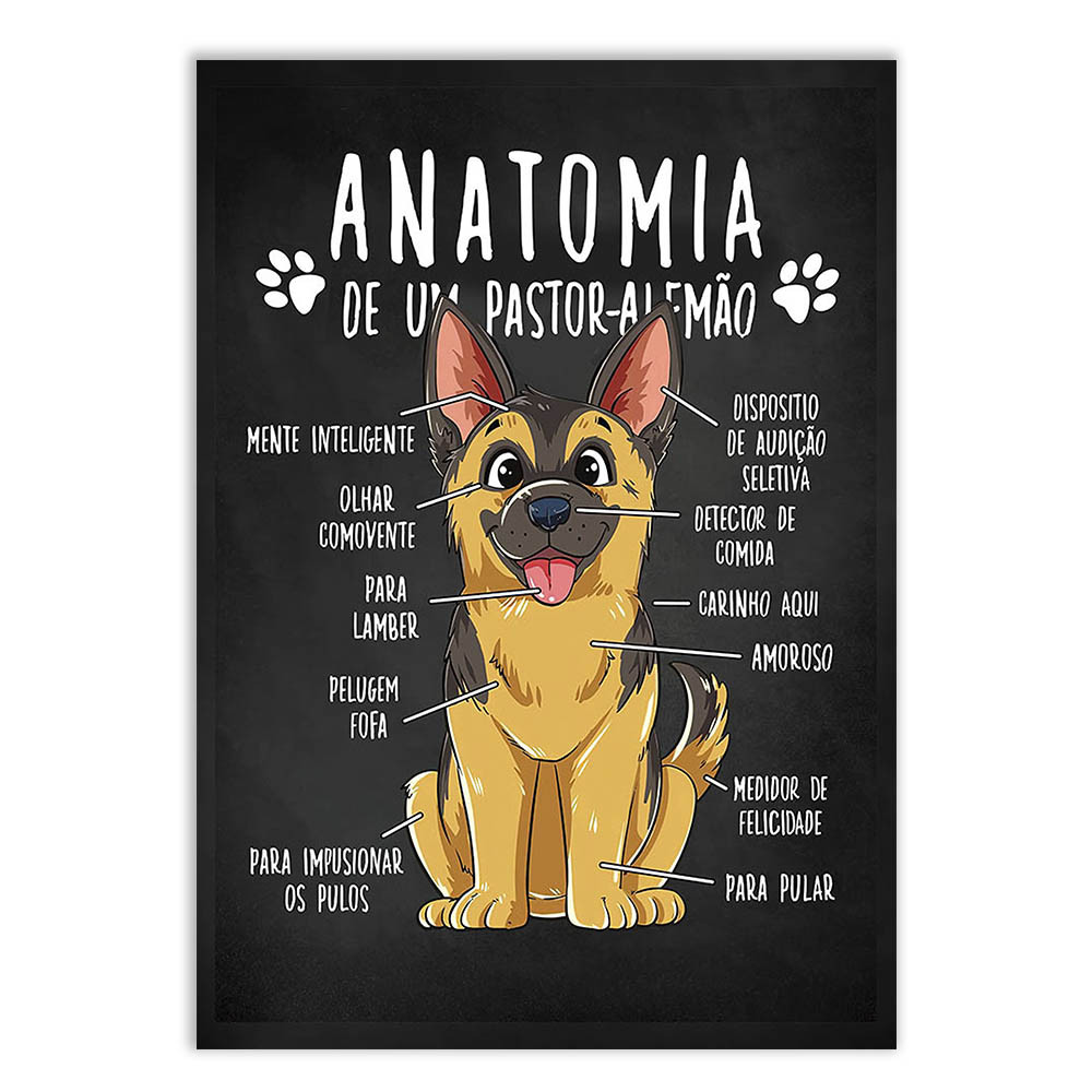Placa Decorativa Engraçada Cachorro Anatomia Raça Pastor Alemão