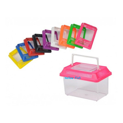 Aranha Tarântula: Onde Comprar | BuscaProdutos