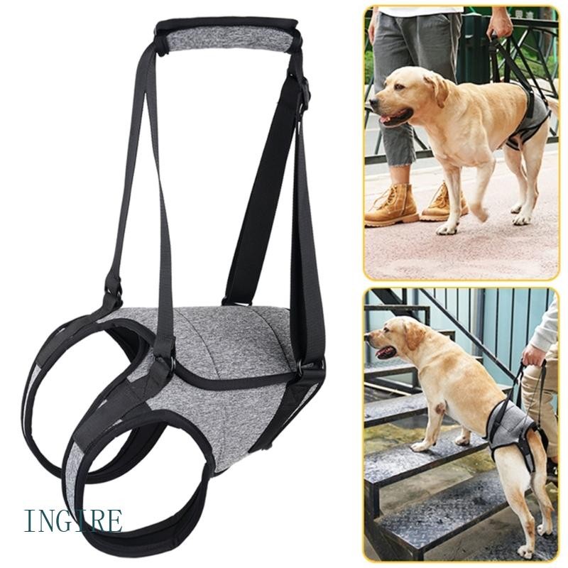 ING Arreios Apoio Pernas Traseiras Do Cão Elevação Almofadados Para Cães Idosos Deficiência em Oferta na Shopee