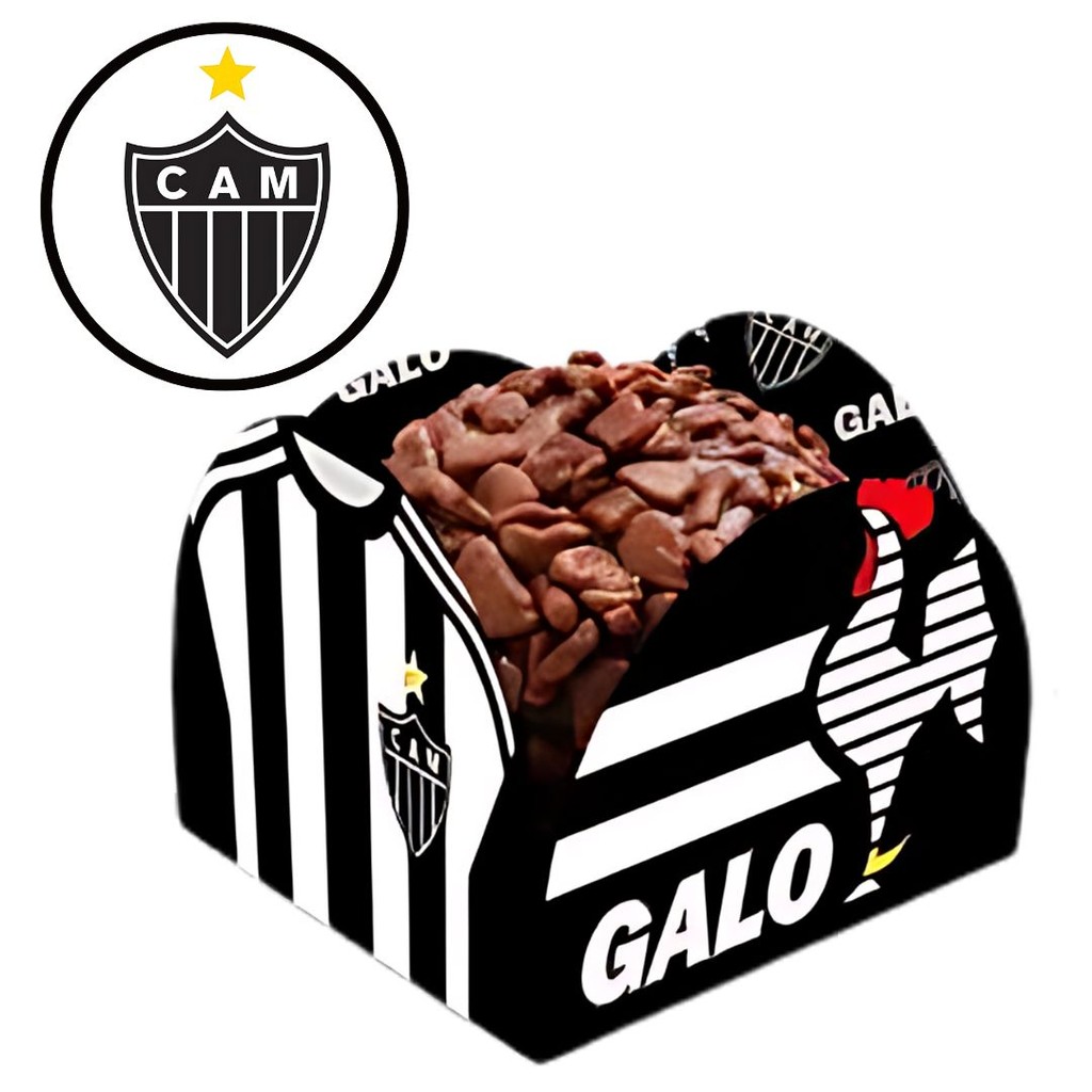 50~250 PORTA FORMINHA ATLETICO MINEIRO REGINA