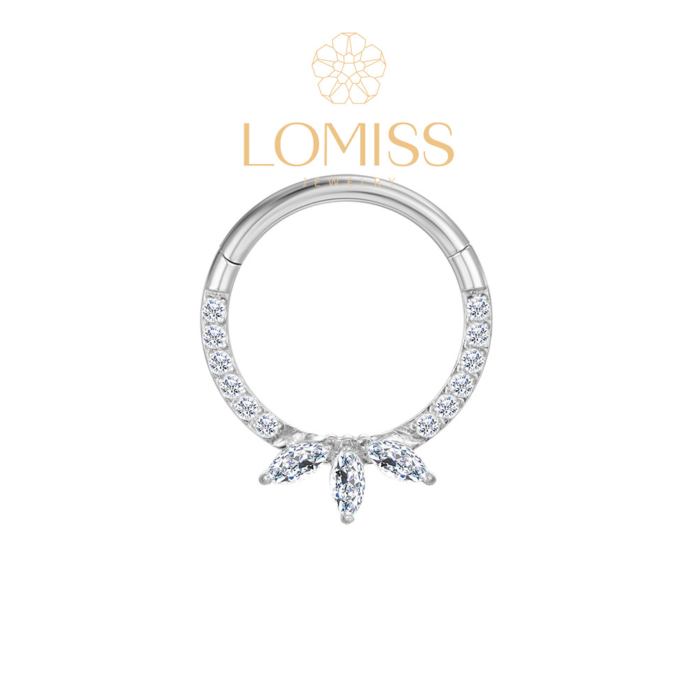 Piercing Orelha Argola Segmento Aço Cirúrgico Segmento Articulado Zircônia Cravejada | Helix, Septo, Rook, Conch, Septo, Nariz em Oferta na Shopee