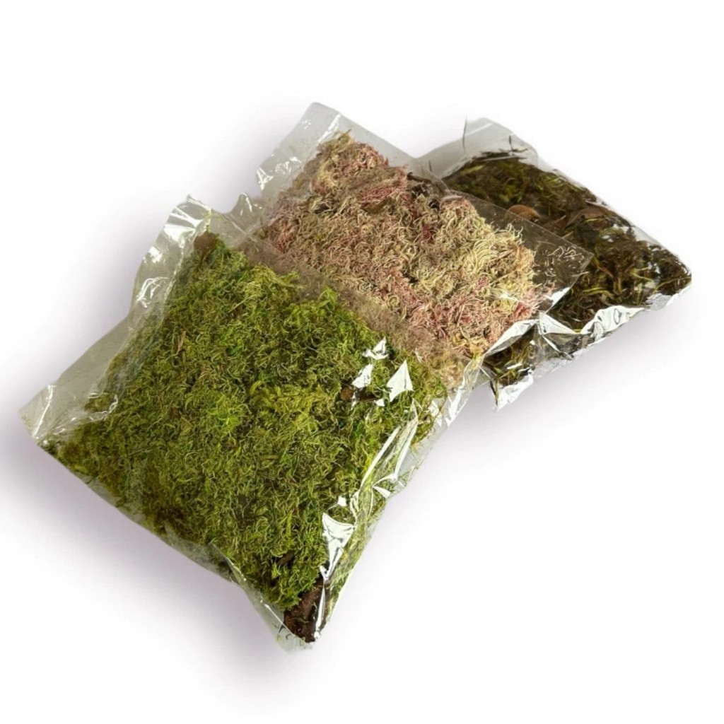Musgo para Artesanato - Pacotinho com 20g