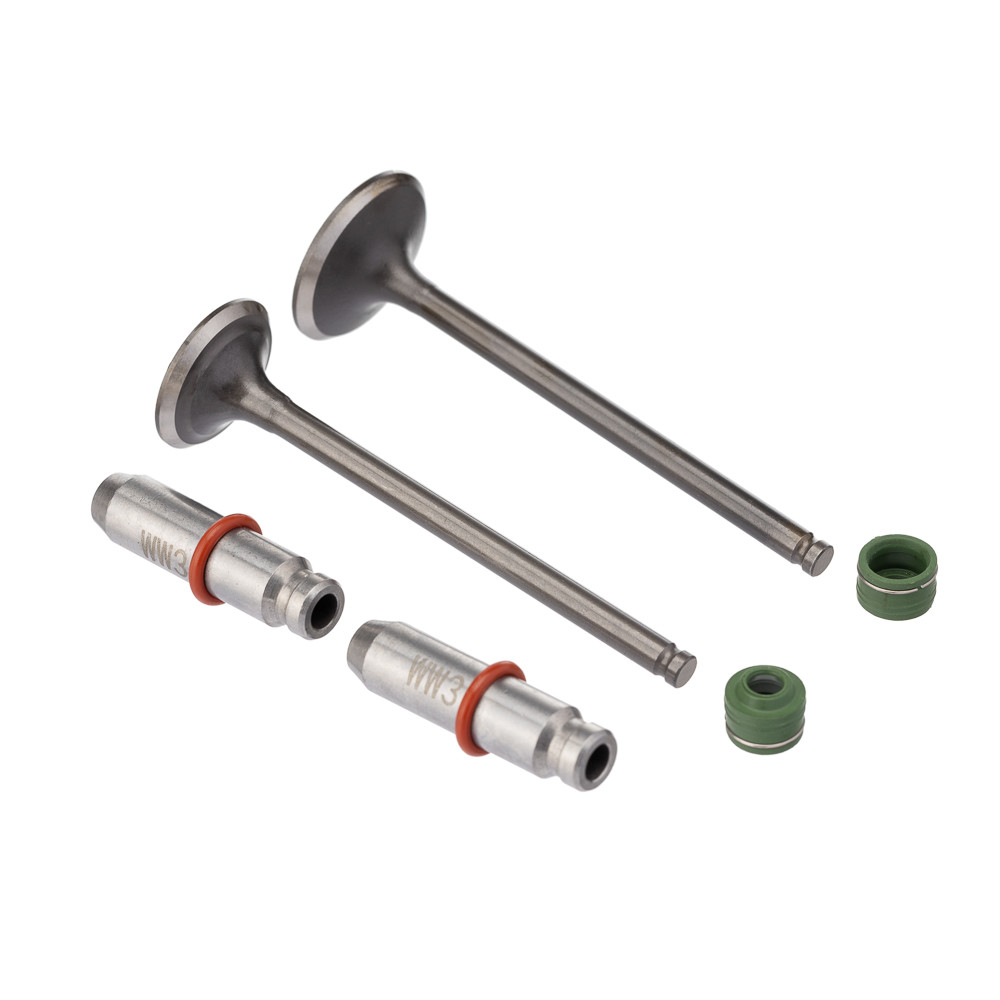 Kit Valvula Ww3 Cg 125 2009/2018 Retentor Verde em Oferta na Shopee