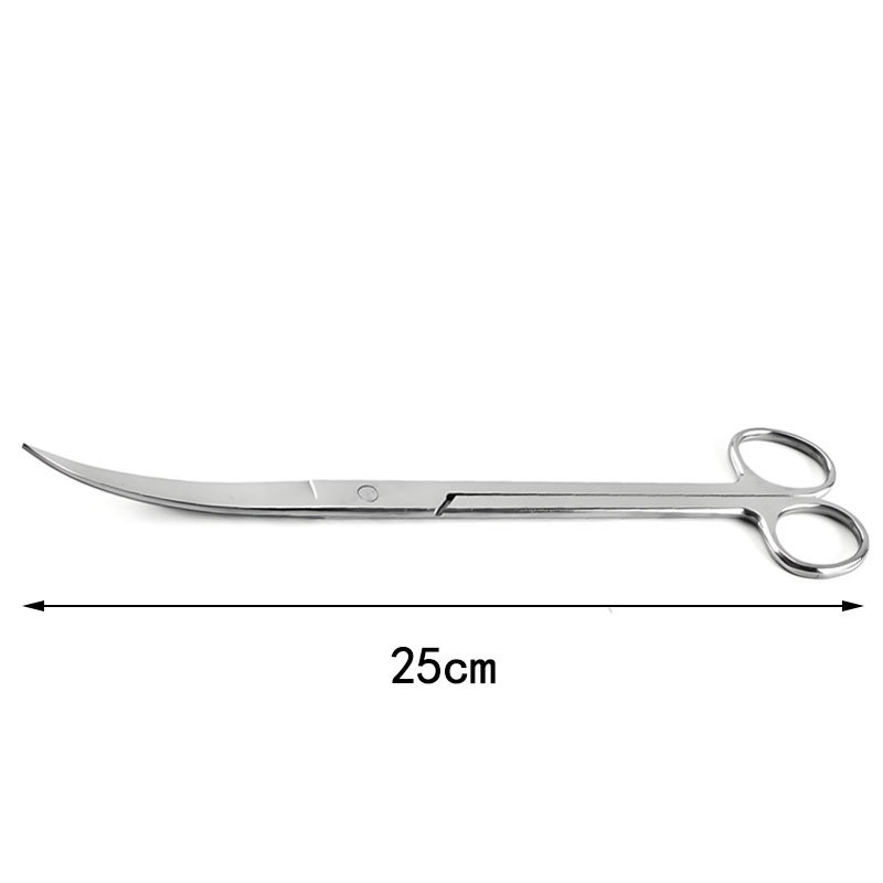 Tesoura Especializada Para Aquário De 25 Cm | Aço Inoxidável 304 Resistente À Corrosão Projetado Aquascape Aparando Zona