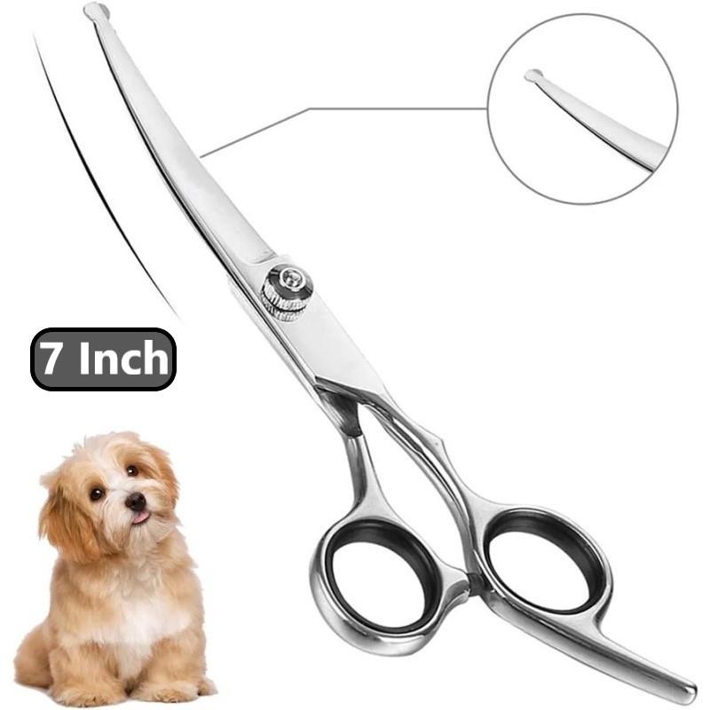 Tesoura curvada para cães com pontas redondas, tesoura curvada para pet para cães e gatos