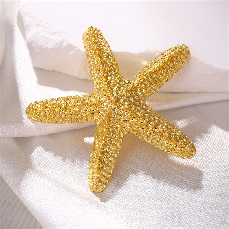 Broche Estrela do Mar: Onde Comprar | BuscaProdutos