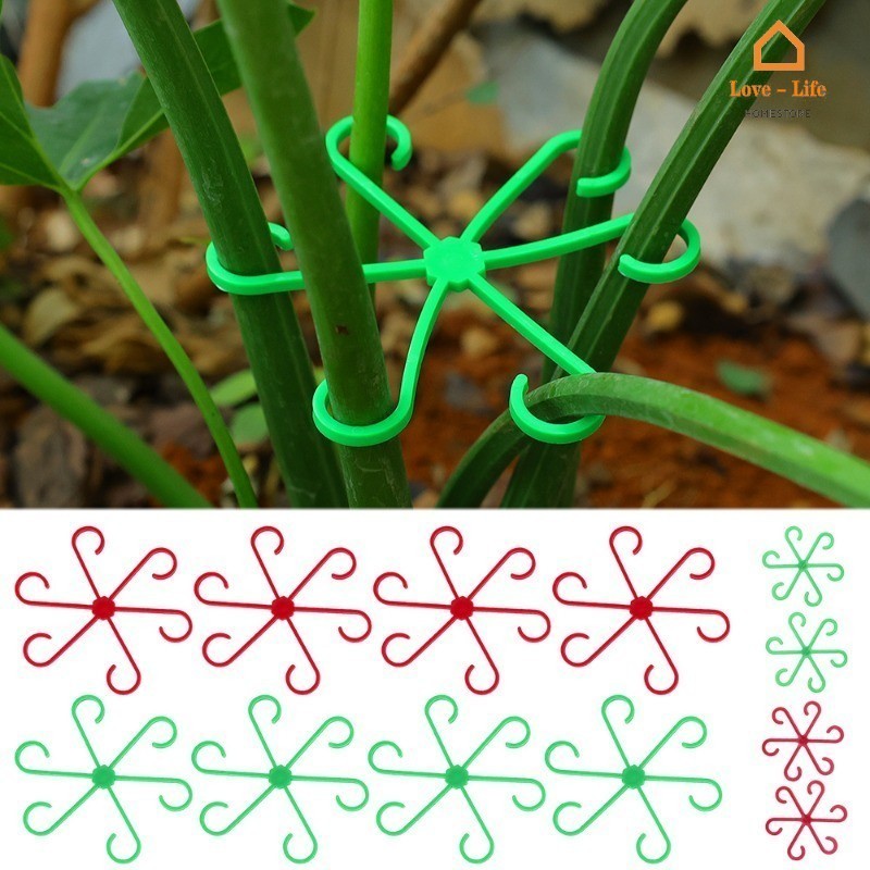 4/8Pcs Hastes De Planta De Flores Fixação De Clipes Plásticos-Grampos De Suporte De Plantio De Jardim em Oferta na Shopee