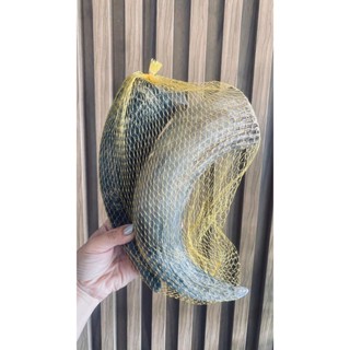 Kit com 02 Chifres Médios - mordedor Natural Para cães O paparico em Oferta na Shopee