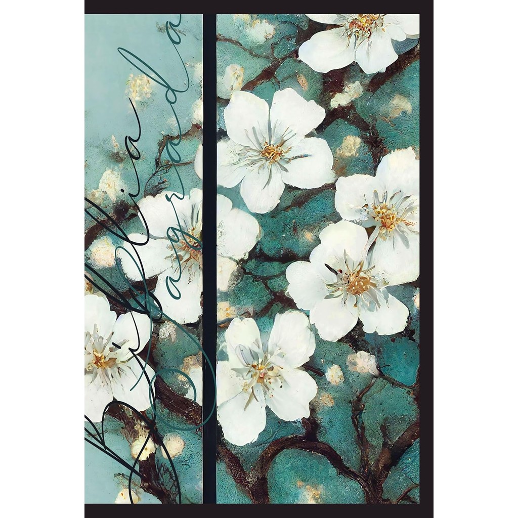 Bíblia Youversion: Onde Comprar | BuscaProdutos