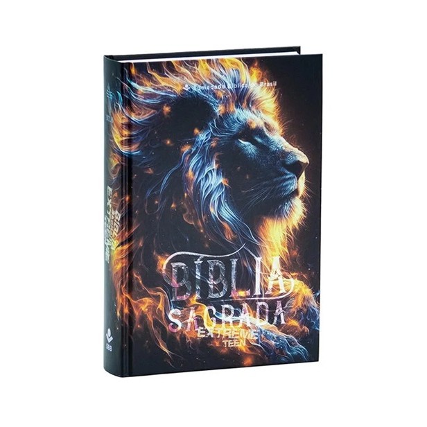 Bíblia Teen: Guia Completo e Onde Comprar | BuscaProdutos