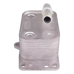 Trocador Calor Resfriador Oleo 307 407 408 C4 2.0 2009/...