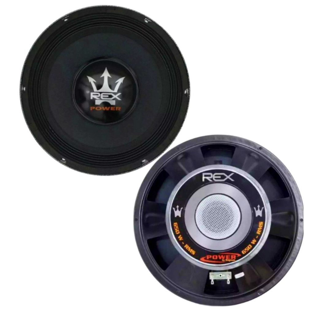 Alto Falante Woofer Magnum Rex Power 650 W Rms 15 Polegadas