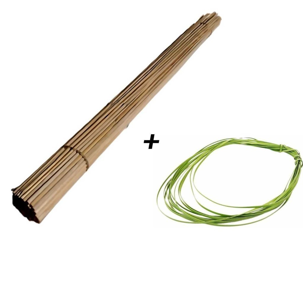 Kit 100 Estacas Haste Natural Suporte Para Plantas Tutor Bambu 80cm Com Amarril Para Orquídeas Plantação
