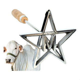 Marcador Ferro De Gado Boi Personalizado Estrela Em Inox em Oferta na Shopee