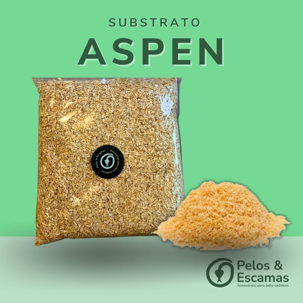 Substrato Aspen 4 Litros (500g) - Serragem Para Répteis e Roedores em Oferta na Shopee