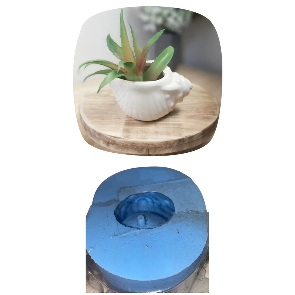 Molde De Silicone Vaso Búzio Concha