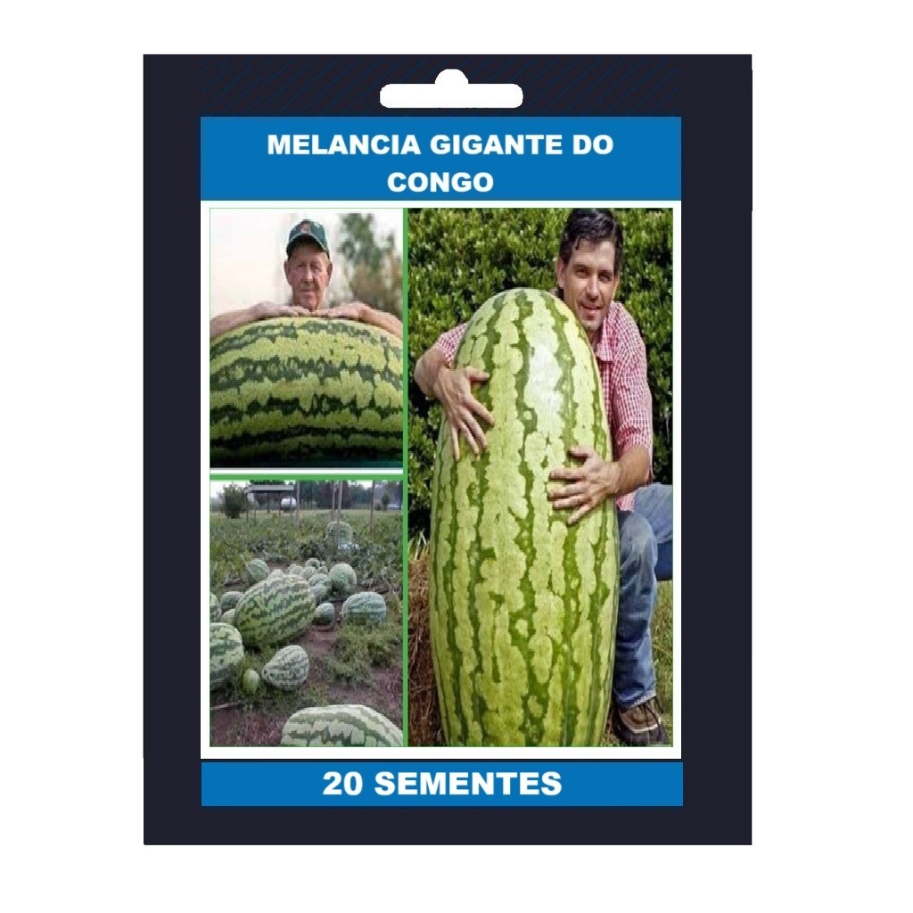 20 Sementes de Melancia Gigante do Congo em Oferta na Shopee