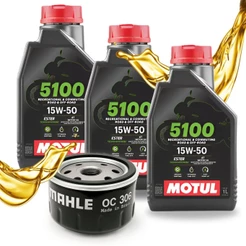 Troca de Óleo P/ Bmw F800 / F850 / F700 / F750 Motul 15w50 + Filtro