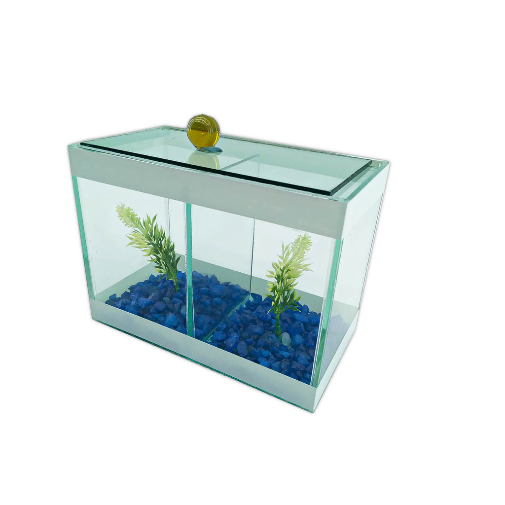 Beteira Dupla Aquário Decorado 17x9x13 1,9l 2 Peixes Betas em Oferta na Shopee