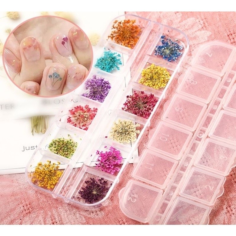 Kit 12 Flores Secas Encapsulamento Decoração Unhas De Gel NO:?ML1510 em Oferta na Shopee