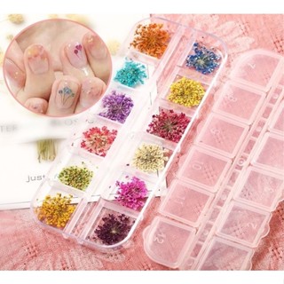 Kit 12 Flores Secas Encapsulamento Decoração Unhas De Gel NO:?ML1510 em Oferta na Shopee