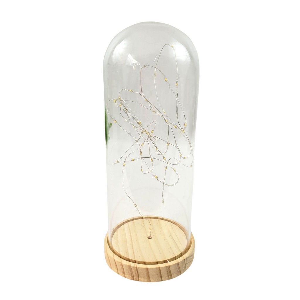 Redoma De Vidro Base Madeira Com Led 27x12cm Cupula