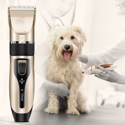 Máquina Para Tosar Cachorro Profissional Pet De Corte Cabelo Tosador de Cães Pet em Oferta na Shopee