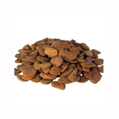 Casca Pinus Polida para Jardinagem Orquideas Vaso Decoração 8Kg