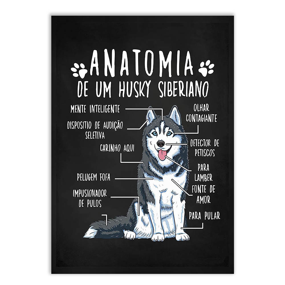 Fotos de Husky: Guia Completo e Onde Comprar | BuscaProdutos