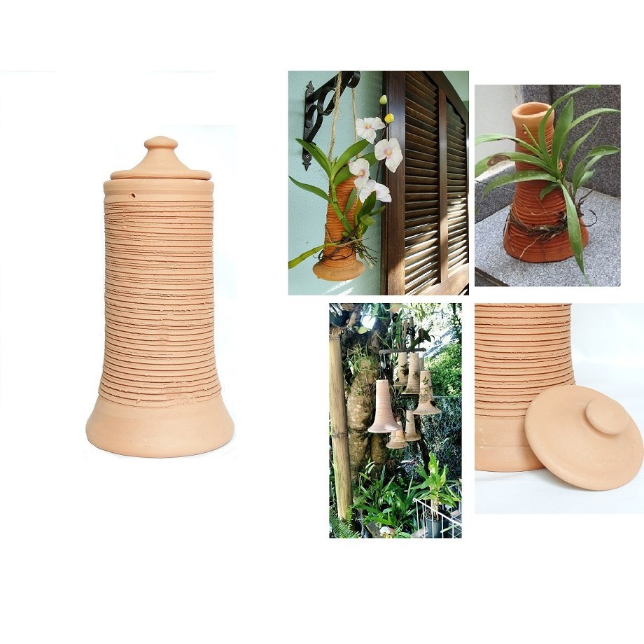 Pau De Barro pra Enraizar Orquídeas V2
