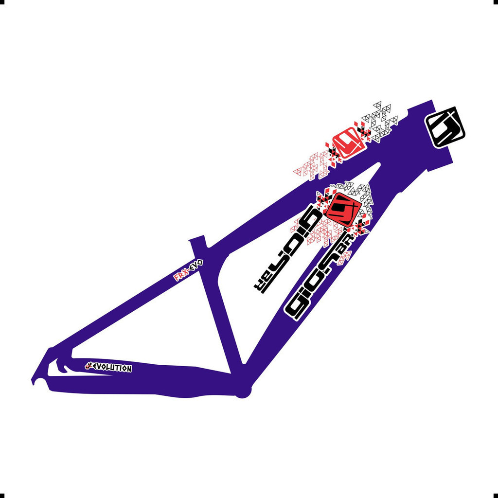 Adesivo Para Quadro Modelo Gios Frx-evo 2022