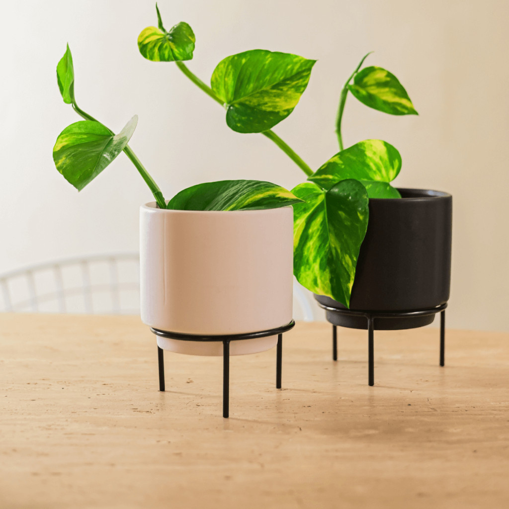 Vaso Cachepot Porcelana Com Suporte Ferro Preto Decoracao em Oferta na Shopee