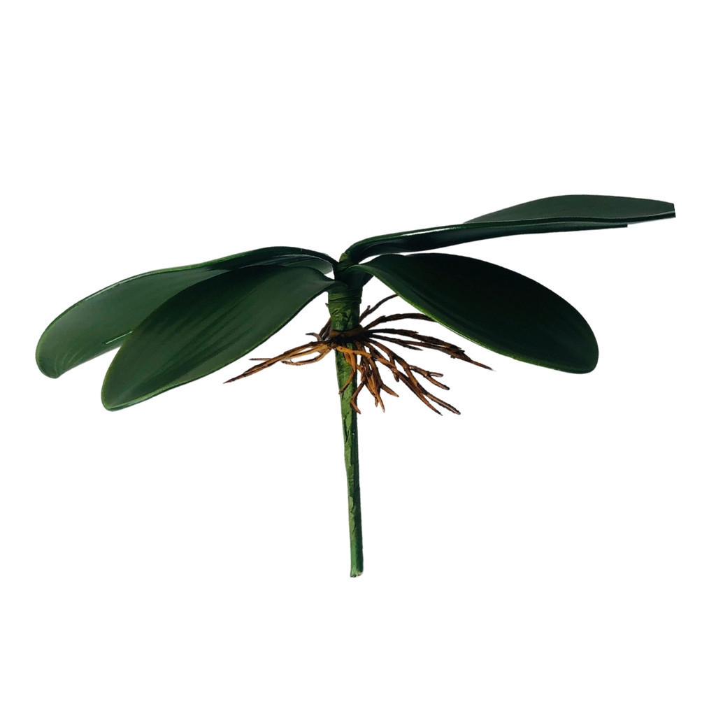 Folha De Orquidea Raizes Arranjos Artificiais Lindas Flores Grande em Oferta na Shopee