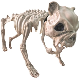 Estátua de Halloween Esqueleto de Cachorro Com Coleira Decoração Gótica Realista Ossos de Animais em Oferta na Shopee