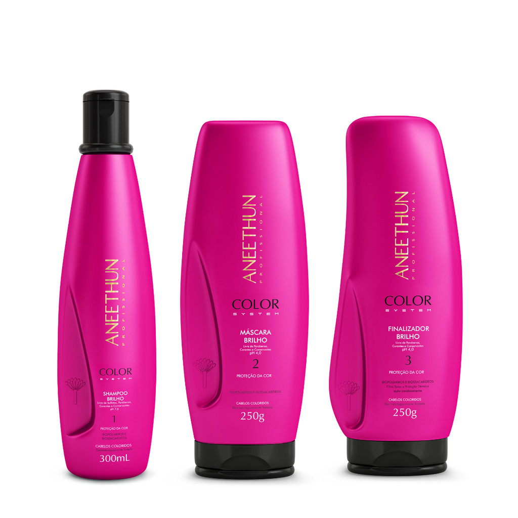 Kit Color System Shampoo Mascara E Finalizador Proteção Da Cor Profissional Original- Aneethun