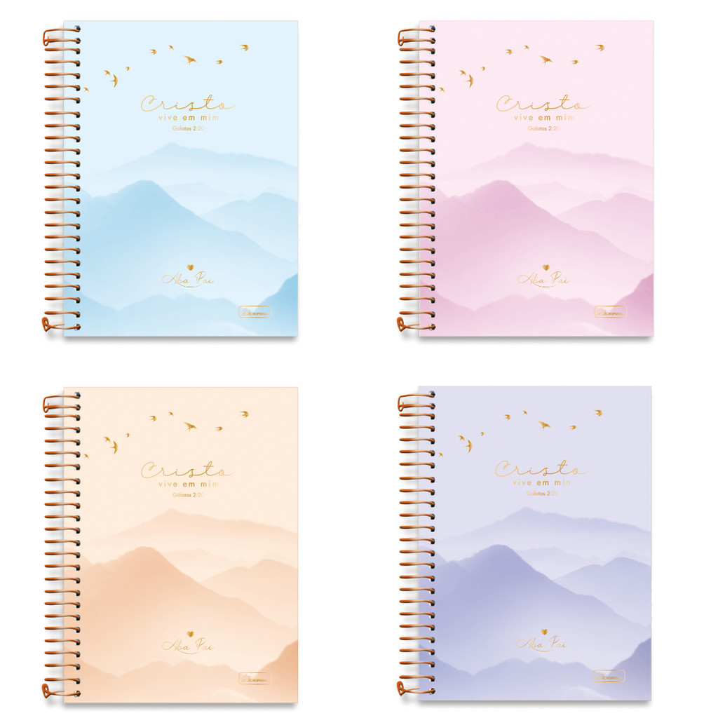 Caderno 01 Matéria Colegial Aba Pai 80 Folhas - CADERSIL em Oferta na Shopee