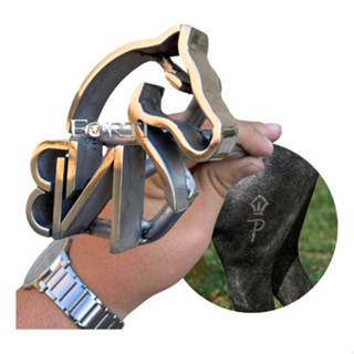 Marcador Gado/cavalo Em Aço Inox- Cavalo + Sua Iniciais em Oferta na Shopee